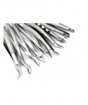 Extracting Forceps Set of 10