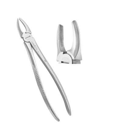 Extracting Forceps Fig.2 Upper Laterals and Canines