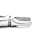 Extracting Forceps Fig.3 Upper Incisors and Canines