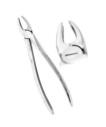 Extracting Forceps Fig.3 Upper Incisors and Canines