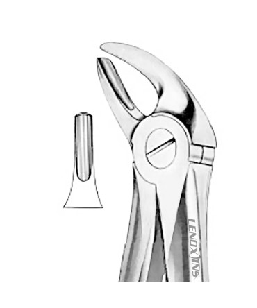 Extracting Forceps Fig.4 Lower Incisors and Canines