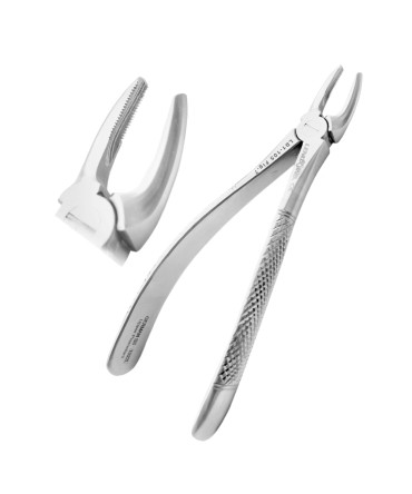 Extracting Forceps Fig.7 Upper Premolars