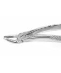 Extracting Forceps Fig.19 Upper Third Molars