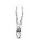 Extracting Forceps Fig.19 Upper Third Molars