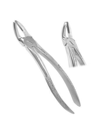 Extracting Forceps Fig.19 Upper Third Molars