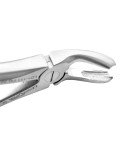 Extracting Forceps Fig.20 Lower Third Molars