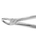 Extracting Forceps Fig.21 Lower Molars