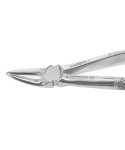 Extracting Forceps Fig.30 Upper Roots