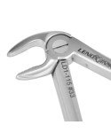 Extracting Forceps # 33-Lower Roots