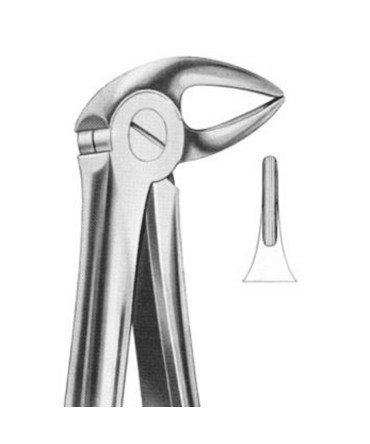 Extracting Forceps # 33A-Lower Roots
