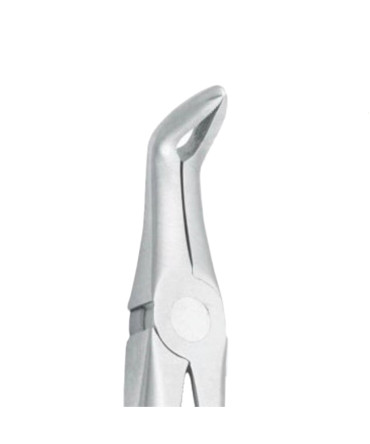 Extracting Forceps # 45 -Lower Roots