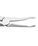 Extracting Forceps # 44 Upper Roots