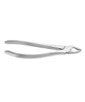 Deep Gripping Forceps # 35 Upper Permolars Deep-gripping
