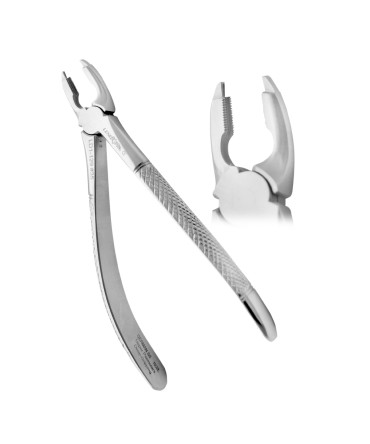 Deep Gripping Forceps # 35 Upper Permolars Deep-gripping