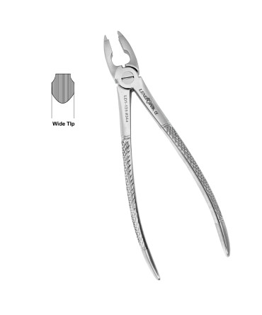 Deep Gripping Forceps # 34A Upper Centrals / Cains Deep-gripping