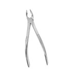 Deep Gripping Forceps # 35A Upper Incisors and Permolars Deep-gripping