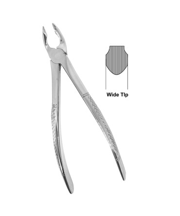 Deep Gripping Forceps # 35A Upper Incisors and Permolars Deep-gripping