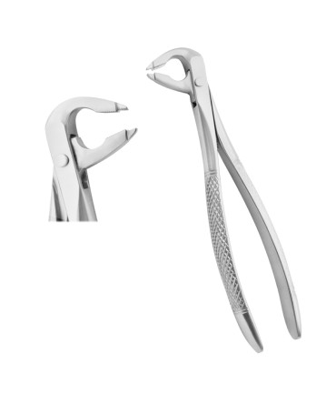 Deep Gripping Forceps # 36 Lower Premolars Deep-gripping