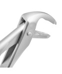 Deep Gripping Forceps # 36A Lower Premolars Deep-gripping