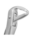 Deep Gripping Forceps # 36A Lower Premolars Deep-gripping