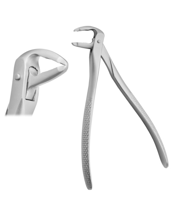 Deep Gripping Forceps # 36A Lower Premolars Deep-gripping