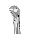 Deep Gripping Forceps # 336 Lower Premolars Deep-gripping