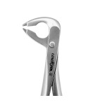 Deep Gripping Forceps # 336 Lower Premolars Deep-gripping