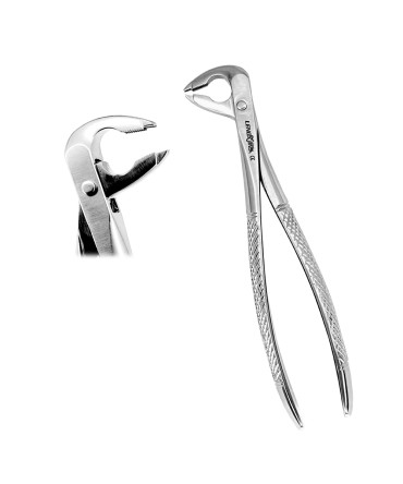 Deep Gripping Forceps # 336 Lower Premolars Deep-gripping