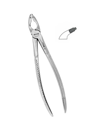 Deep Gripping Forceps # 79N Lower Third Molars Deep-gripping