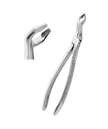 Deep Gripping Forceps # 67 Upper Third Molars