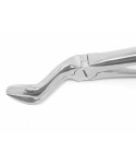 Deep Gripping Forceps # 67A Upper Third Molars