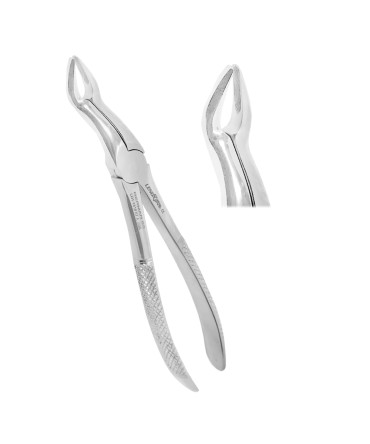 Deep Gripping Forceps # 67A Upper Third Molars