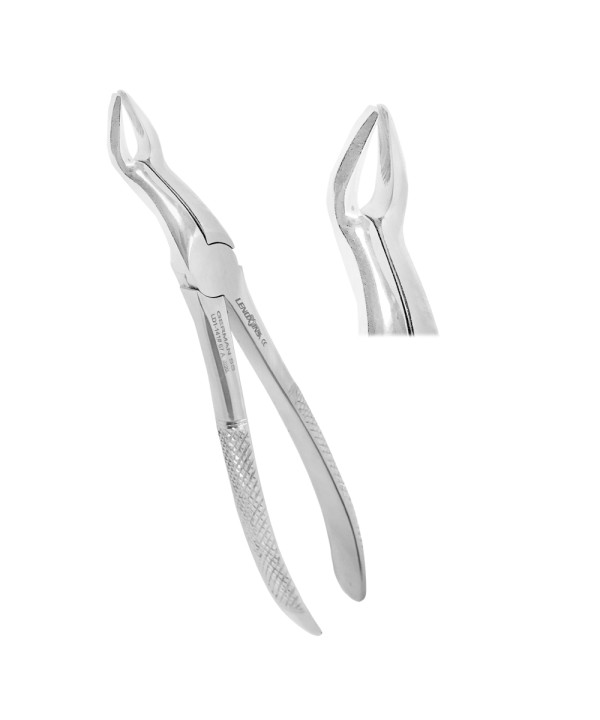 Deep Gripping Forceps # 67A Upper Third Molars