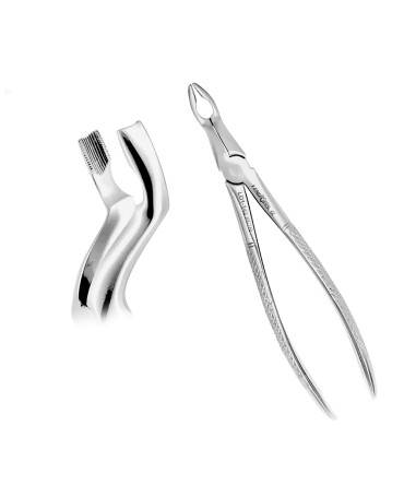 Deep Gripping Forceps # 67N Lower Third Molars Deep-gripping