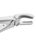 Extracting Forceps Fig. 17 Upper Molars Right