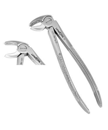 Extracting Forceps Fig. 22 Lower Roots