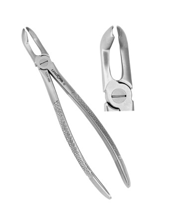 Extracting Forceps # 79-Lower Third Molars