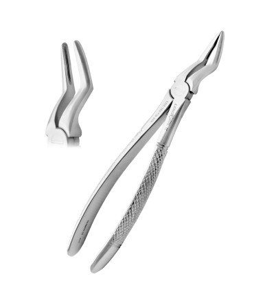 Extracting Forceps # 51A-Upper Roots