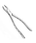 Extracting Forceps Fig. 1 Upper Anterior