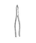 Extracting Forceps Fig. 1 Upper Anterior