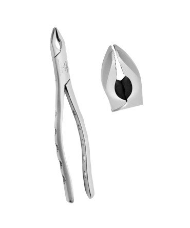 Extracting Forceps Fig. 1 Upper Anterior