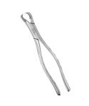 Extracting Forceps Lower Molar Fig. 23 Cow Horn