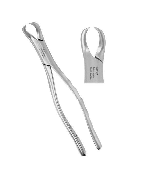 Extracting Forceps Lower Molar Fig. 23 Cow Horn