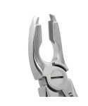 Extracting Forceps Fig. 35 Upper Premolars