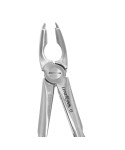 Extracting Forceps Fig. 35 Upper Premolars