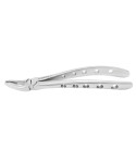 Extracting Forceps Fig. 35 Upper Premolars