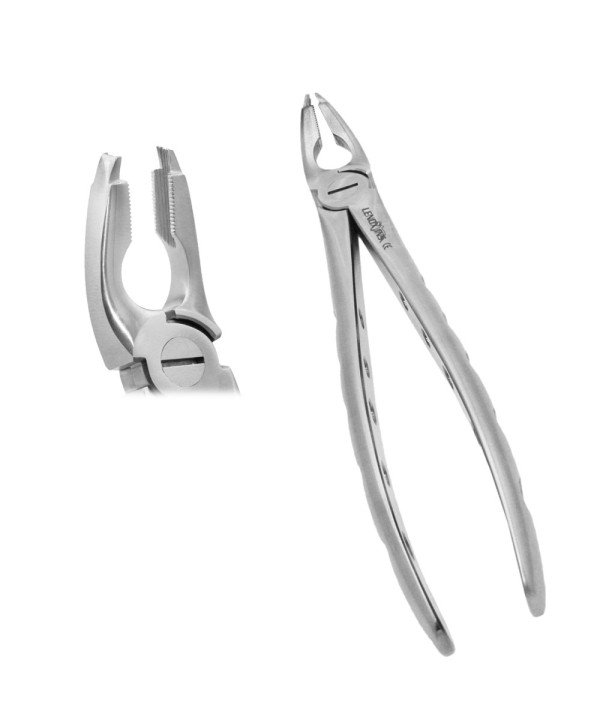 Extracting Forceps Fig. 35 Upper Premolars