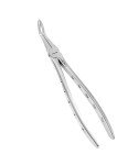 Dental Extracting Forceps Lower Roots, Micro Serrated Edges