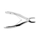 Baby Extracting Forceps English Pattern Klein 137 Pedodontic, Upper Incisors Spring handle
