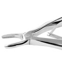 Baby Extracting Forceps English Pattern Klein 137 Pedodontic, Upper Incisors Spring handle